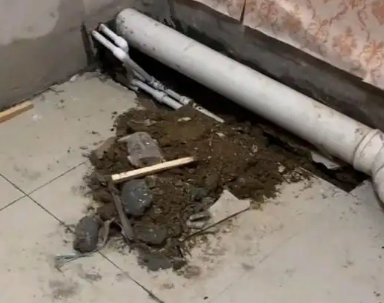 金湾卫生间漏水检测哪家好